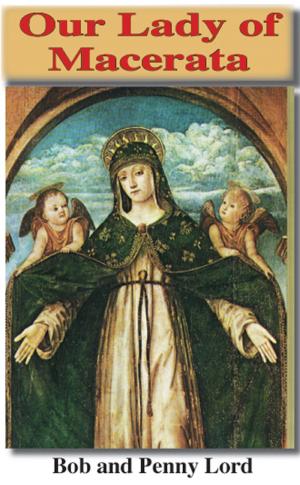 Cover of the book Our Lady of Macerata by Papst Franziskus