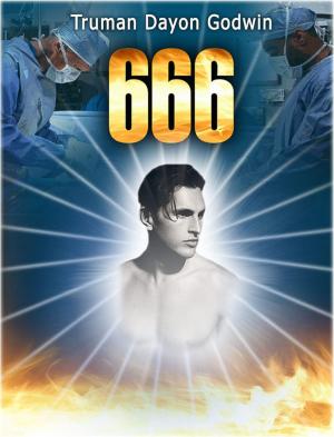 Cover of the book 666 by B.F. Camis