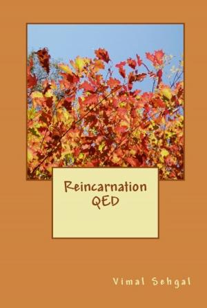 Book cover of Reincarnation QED