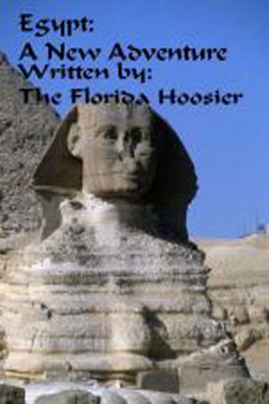 Book cover of Egypt: A New Adventure