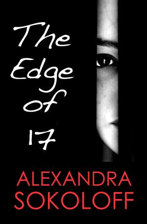 Book cover of The Edge of Seventeen