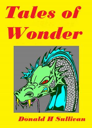 Cover of the book Tales of Wonder by Shelley Chappell
