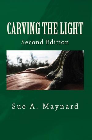 Cover of the book Carving The Light by Rossella Canevari