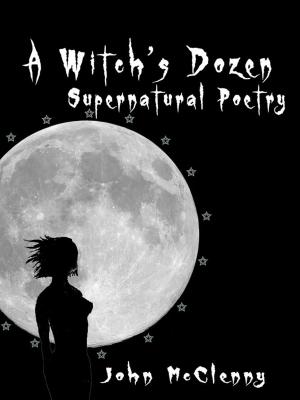 Book cover of A Witch's Dozen