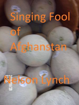 Cover of Singing Fool of Afghanistan