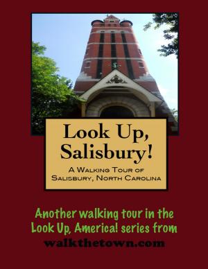 Book cover of A Walking Tour of Salisbury, North Carolina