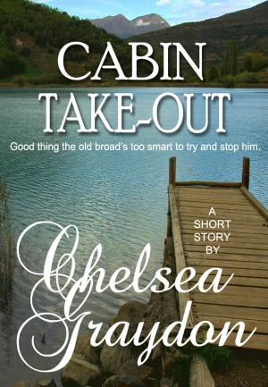 Book cover of Cabin Take-Out