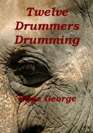 Cover of the book Twelve Drummers Drumming by Kira Fleischman