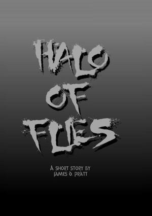 Cover of the book Halo Of Flies by Simon Coates