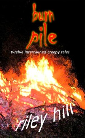 bigCover of the book Burn Pile by 