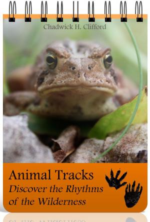 Cover of the book Animal Tracks: Discover the Rhythms of the Wilderness by Sandy De Lisle