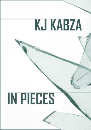 Book cover of In Pieces