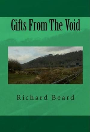 Cover of the book Gifts From The Void by Mons Kallentoft, Markus Lutteman