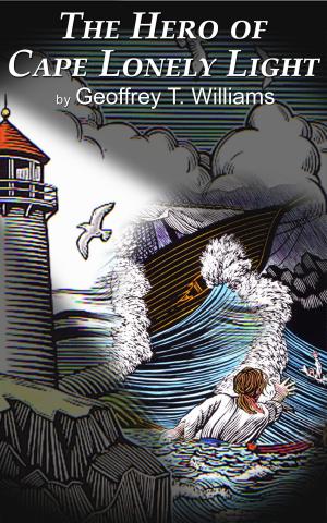 Cover of the book The Hero of Cape Lonely Light by Geoffrey T Williams