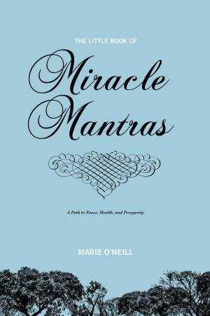 Cover of the book The Little Book Of Miracle Mantras by Nils Vesk