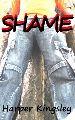 Cover of the book Shame by H.A. Larson