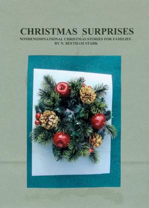 Book cover of Christmas Surprises: A Collection of Christmas Stories for Families