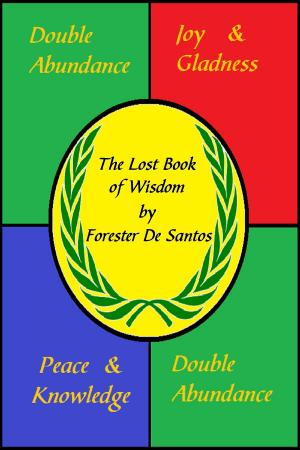 Cover of the book The Lost Book of Wisdom by Forester de Santos