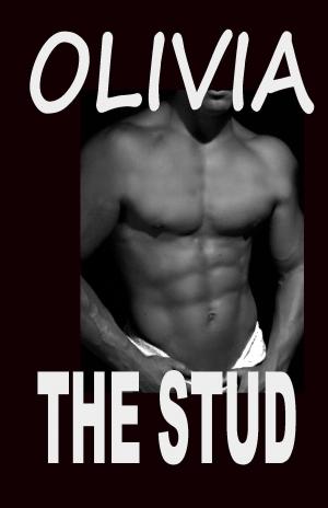 Cover of the book The Stud by Dylan Cross