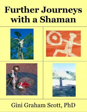Cover of Further Journeys with a Shaman Warrior