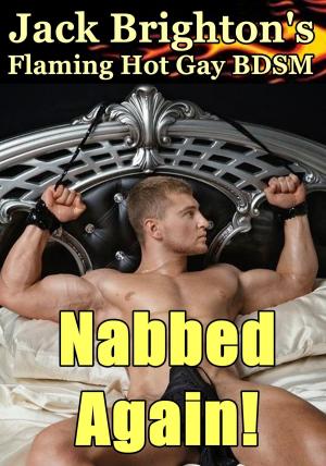 Book cover of Nabbed Again!