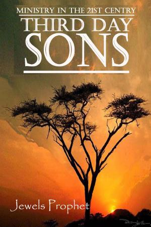 Cover of Third Day Sons