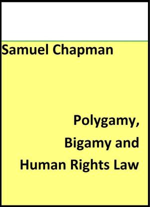 Cover of Polygamy, Bigamy and Human Rights Law