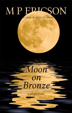 Book cover of Moon on Bronze