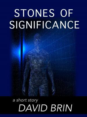 Cover of the book Stones of Significance by Maria Haskins