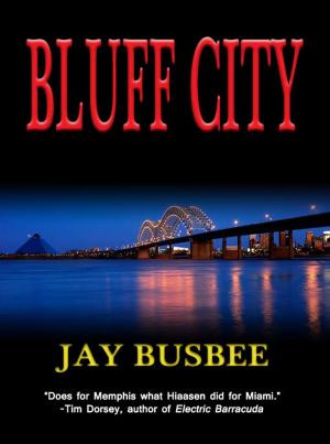 bigCover of the book Bluff City by 