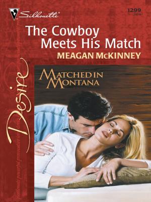 Cover of the book The Cowboy Meets His Match by Maxine Sullivan