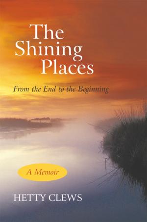 Cover of the book The Shining Places by Dan Gleason