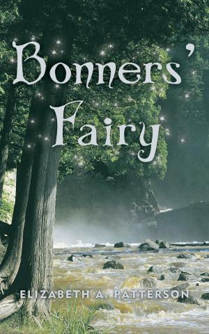 Cover of the book Bonners' Fairy by Erica Hayes