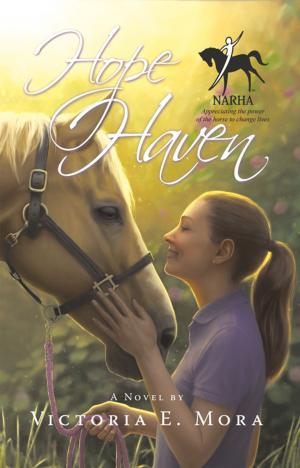 Book cover of Hope Haven