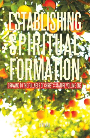 Cover of the book Establishing Spiritual Formation by Jeremy Bechen