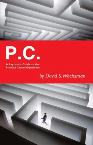 Cover of the book P.C. by Jude Stringfellow