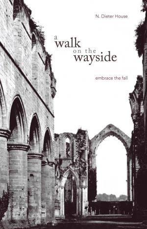 Cover of the book A Walk on the Wayside: Embrace the Fall by Richard Burack Sr. MD