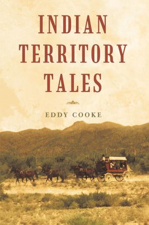 Cover of the book Indian Territory Tales by Henry Pitt