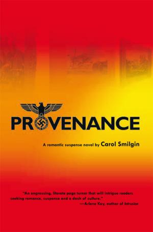 Cover of the book Provenance by Burt Rashbaum