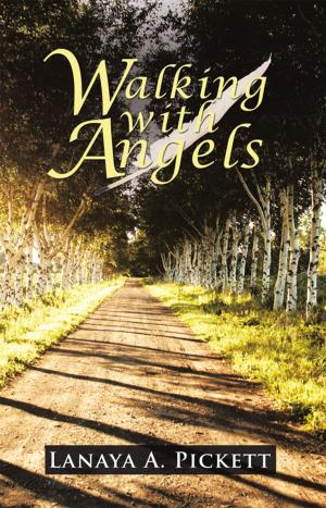 bigCover of the book Walking with Angels by 