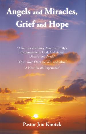 Cover of the book Angels and Miracles, Grief and Hope by Oussama Namani