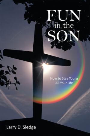 Cover of the book Fun in the Son by Geoff Laundy