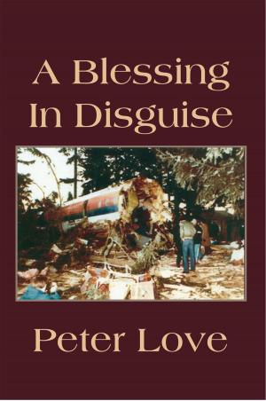 bigCover of the book A Blessing in Disguise by 