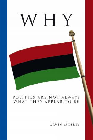 Cover of the book Why? by LaMont L. Troupe