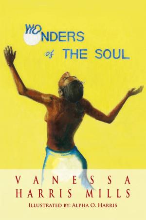 Cover of the book Wonders of the Soul by Janice Larsen