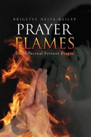 Cover of the book Prayer Flames by Vytenis Rozukas
