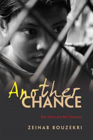 Cover of the book Another Chance by Monica Brosnan