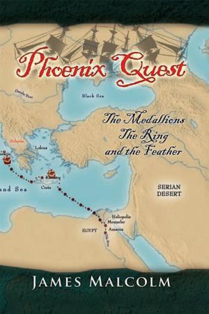Cover of the book Phoenix Quest by Julia Mercedes Castilla