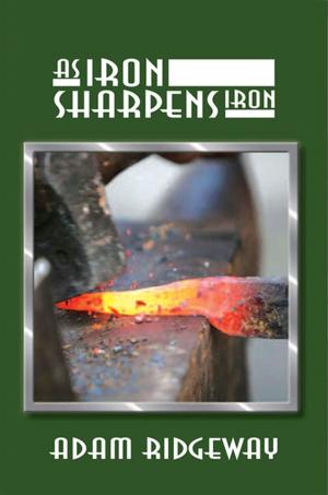 Cover of the book As Iron Sharpens Iron by Raymond Monsen