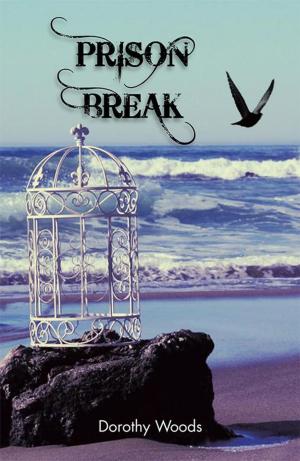 Cover of the book Prison Break by Garret Thomas Godwin